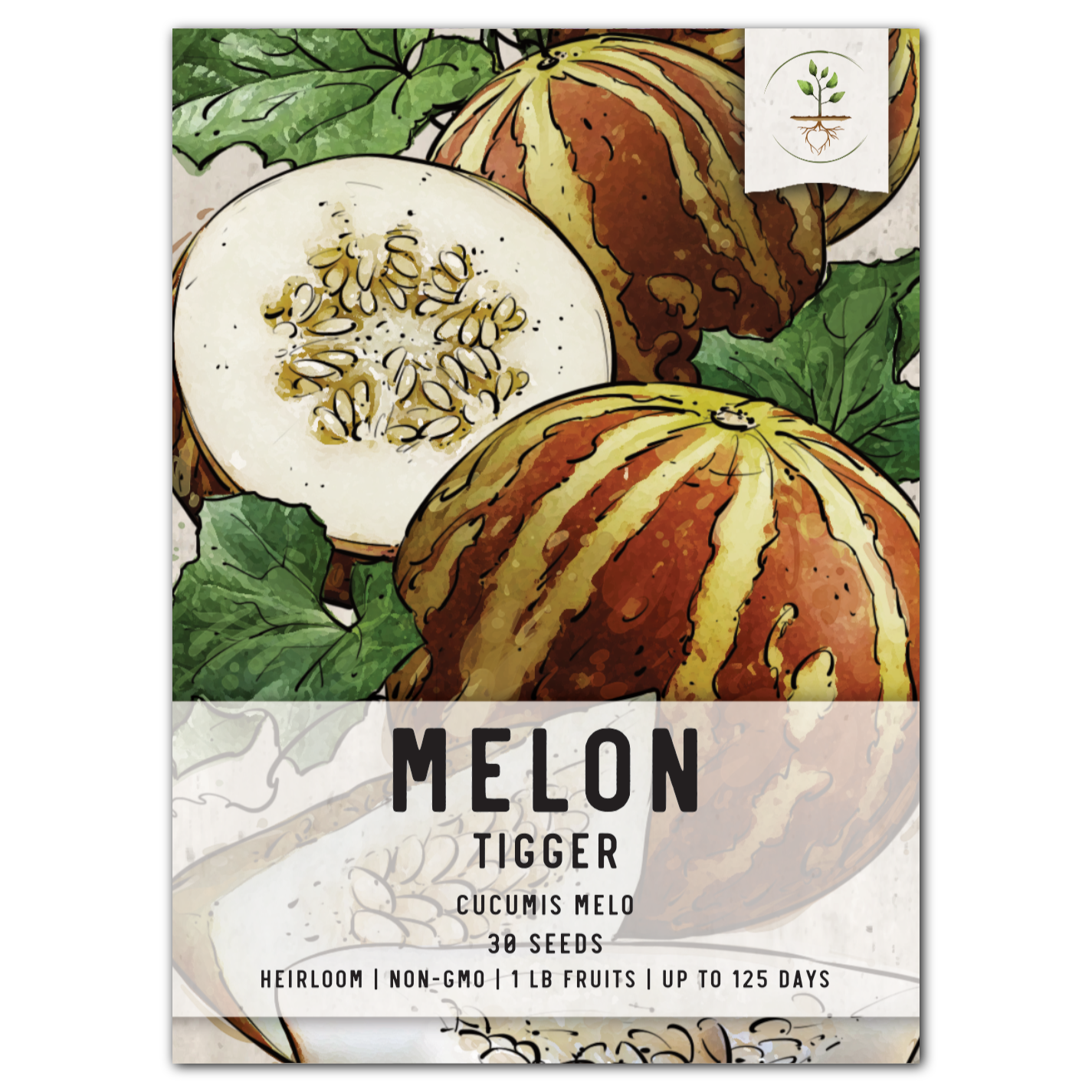 Tigger Melon Seeds For Planting (Cucumis melo)