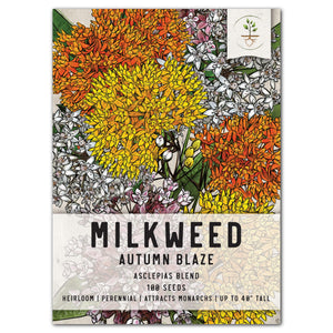 autumn blaze milkweed seeds for planting