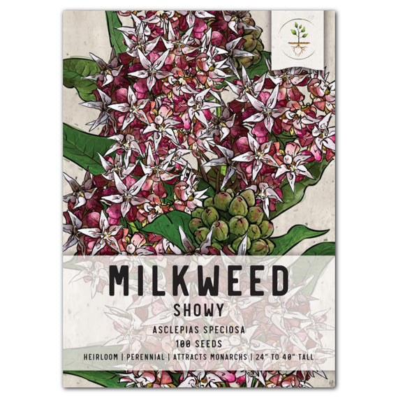 showy milkweed seeds for planting