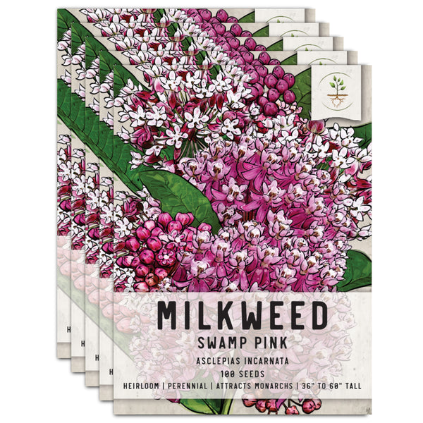 Pink Swamp Milkweed Seeds For Planting (Asclepias incarnata)