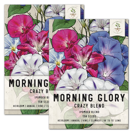 Crazy Mixed Morning Glory Seeds For Planting (Ipomoea pupurea / nil)