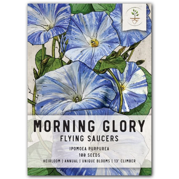 japanese morning glory seeds sale Flying Saucers Morning Glory Seeds For Planting (Ipomoea purpurea) – Seed Needs LLC