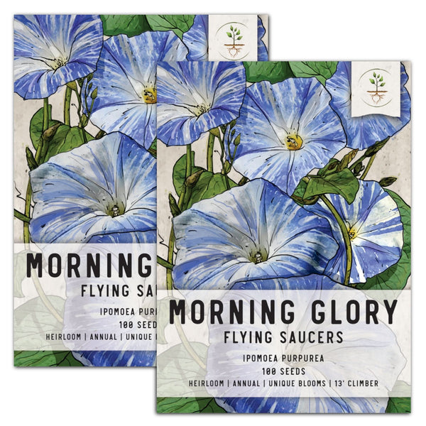 Flying Saucers Morning Glory Seeds For Planting (Ipomoea purpurea)