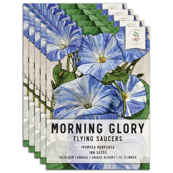 Flying Saucers Morning Glory Seeds For Planting (Ipomoea purpurea)
