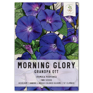 grandpa ott morning glory seeds for planting