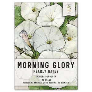 pearly gates morning glory seeds for planting