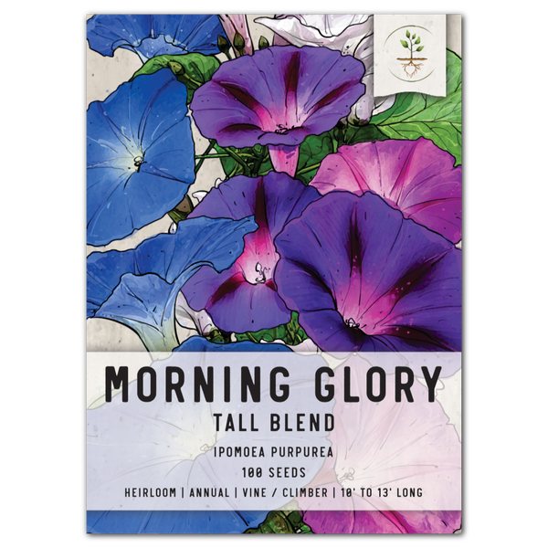 morning glory seeds to get high Tall Mixed Morning Glory Seeds For Planting (Ipomoea purpurea) – Seed Needs LLC