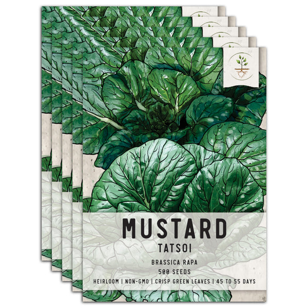 Tatsoi Mustard Seeds For Planting (Brassica rapa)