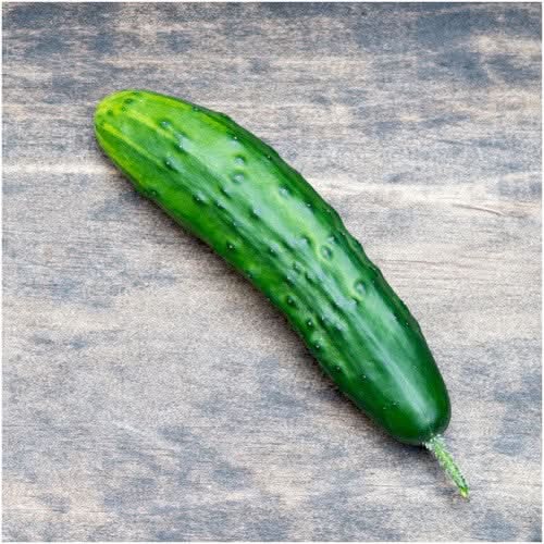 Marketmore 76 Cucumber Seeds For Planting (Cucumis sativus)