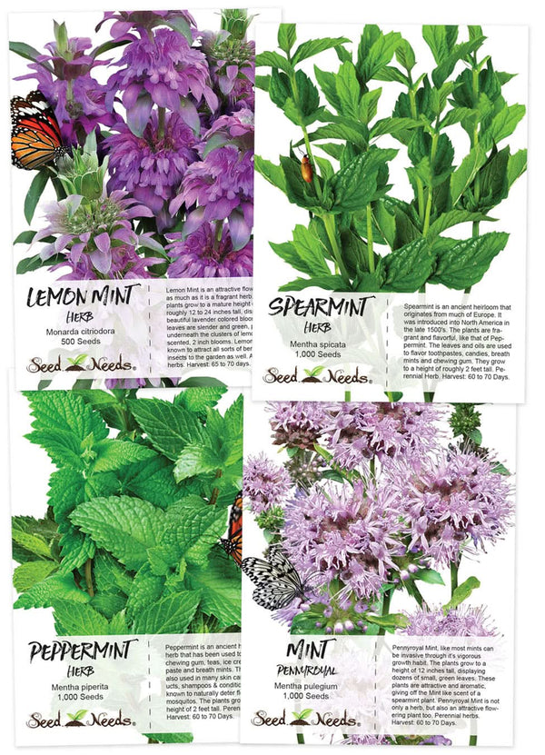 spearmint plant seeds Mint Herb Seed Collection (4 Individual Packets)