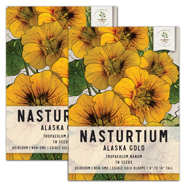 Dwarf Nasturtium - Alaska Gold (Tropaeolum nanum)