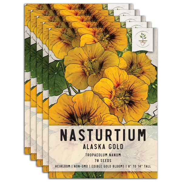 Dwarf Nasturtium - Alaska Gold (Tropaeolum nanum)