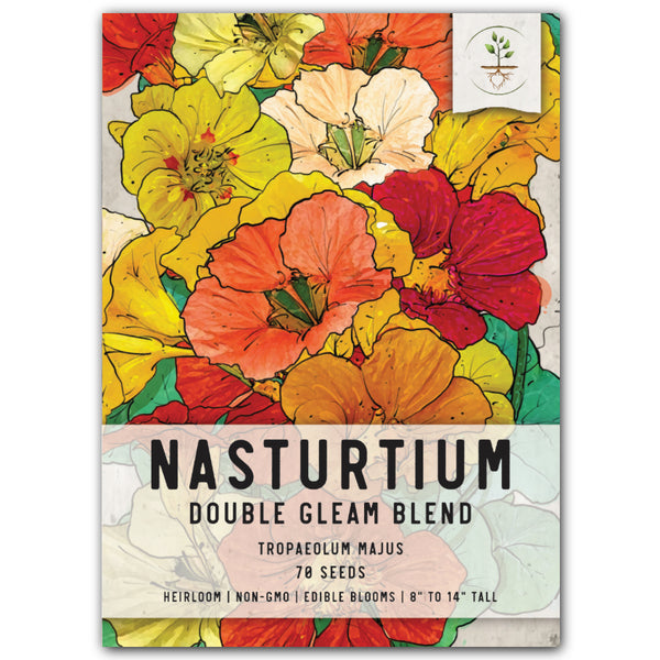 Double Gleam Nasturtium Seeds For Planting (Tropaeolum majus)