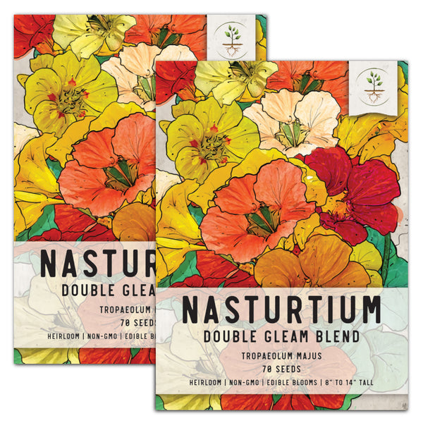 Double Gleam Nasturtium Seeds For Planting (Tropaeolum majus)