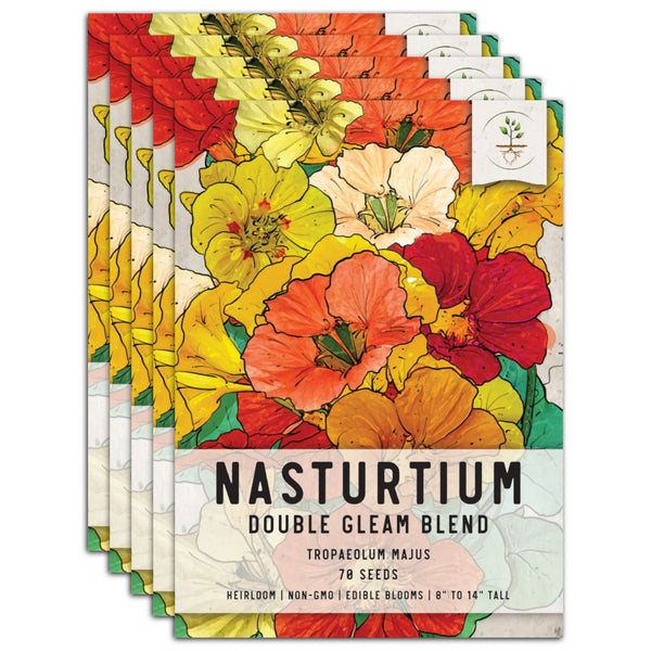 Double Gleam Nasturtium Seeds For Planting (Tropaeolum majus)