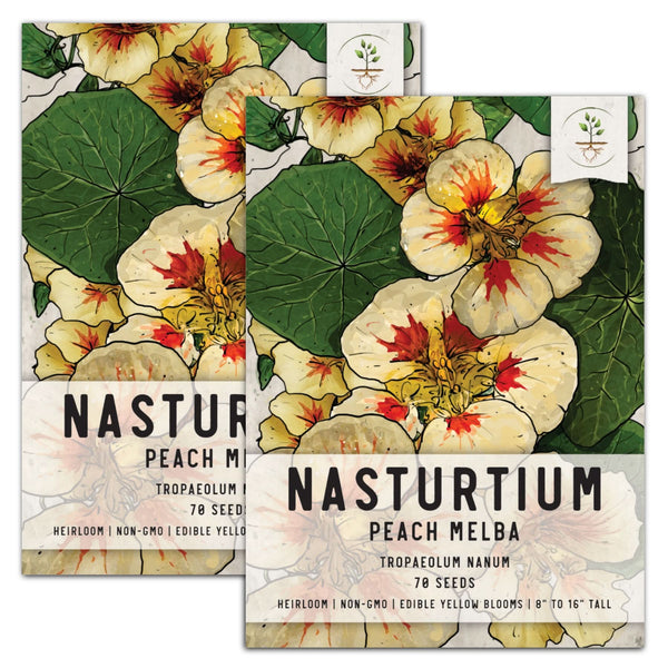 Peach Melba Nasturtium Seeds For Planting (Tropaeolum nanum)