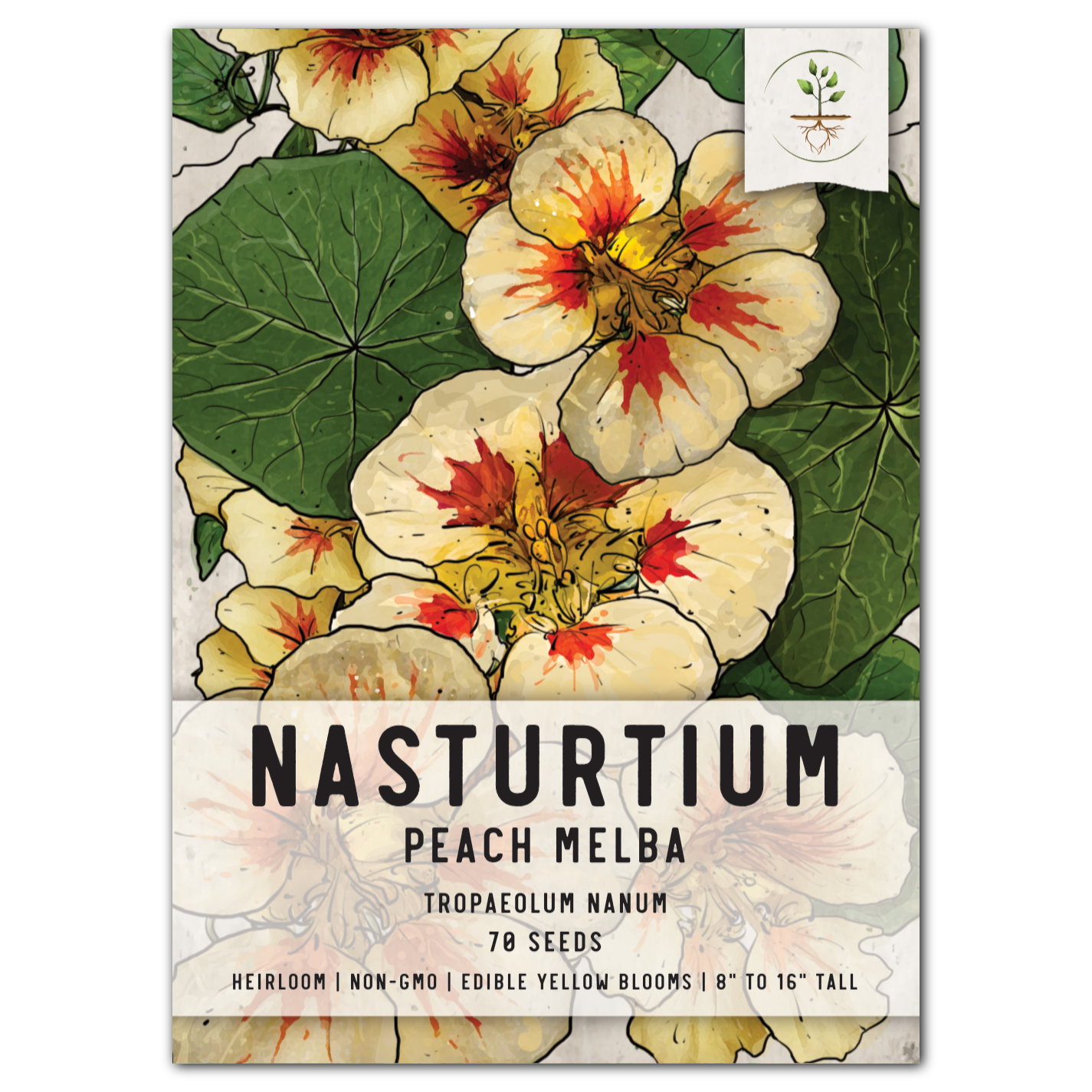 peach melba nasturtium seeds for planting