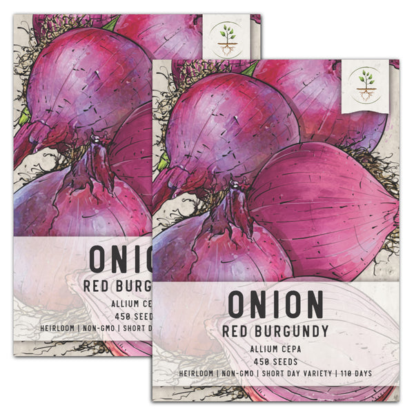 Red Burgundy Onion Seeds For Planting (Allium cepa)