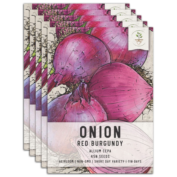 Red Burgundy Onion Seeds For Planting (Allium cepa)