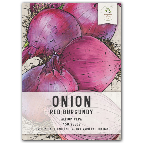 Red Burgundy Onion Seeds For Planting (Allium cepa)