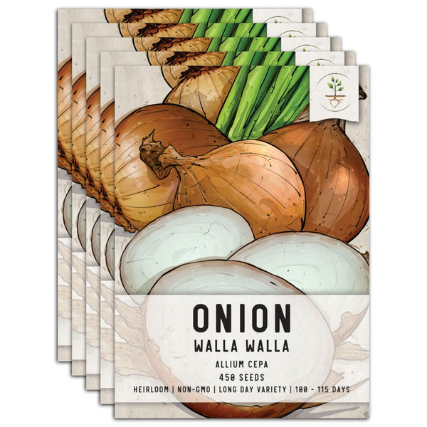 Walla Walla Onion Seeds For Planting (Allium cepa)