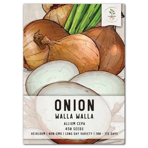 Walla Walla Onion Seeds For Planting (Allium cepa)