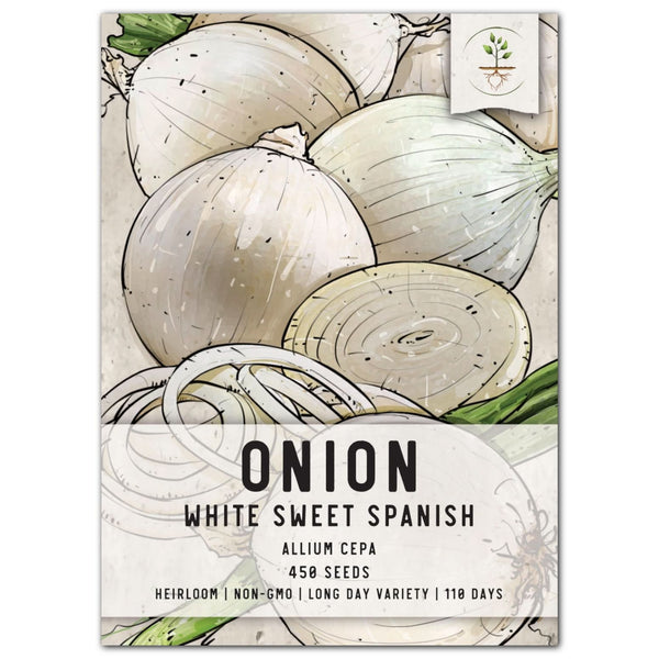 White Sweet Spanish Onion Seeds For Planting (Allium cepa)