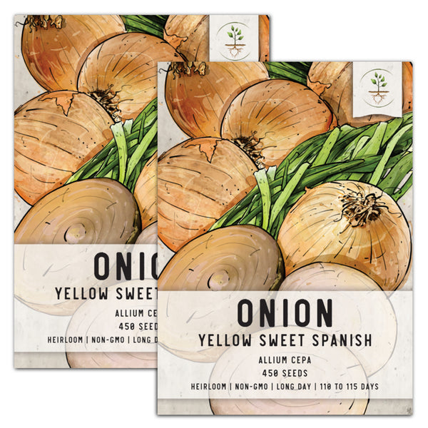 Yellow Sweet Spanish Onion Seeds For Planting (Allium cepa)