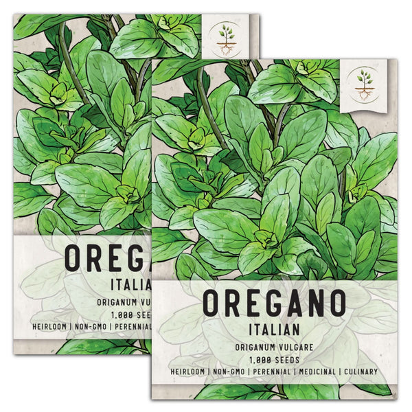 Italian Oregano (Origanum vulgare)