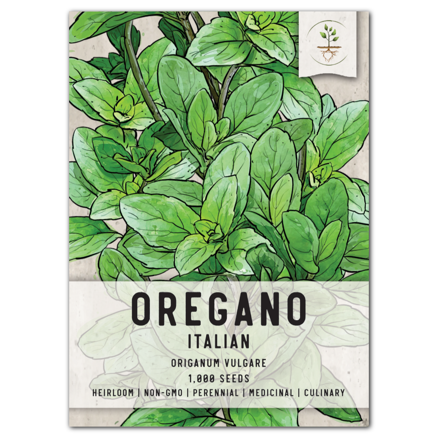 Italian Oregano (Origanum vulgare)