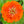 orange king zinnia