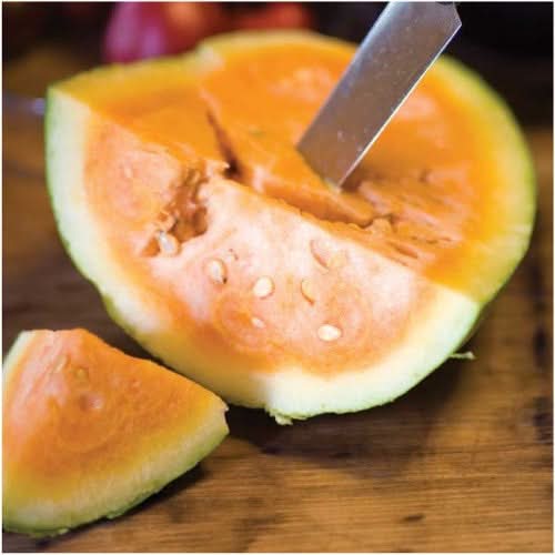 orangeglo watermelon