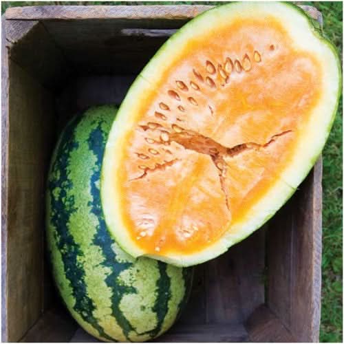 orangeglo watermelon