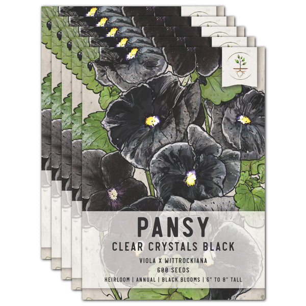 Black Pansy Seeds For Planting "Clear Crystals" (Viola x wittrockiana)