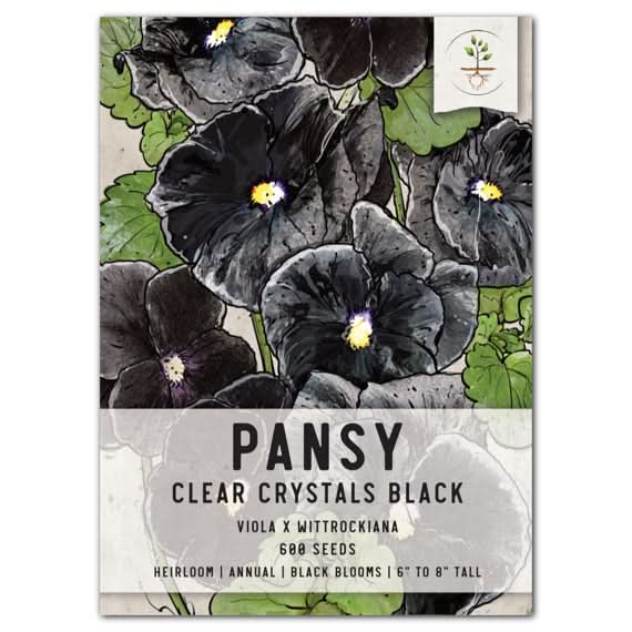 clear black crystals pansy seeds for planting