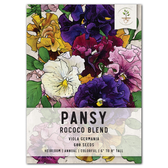 Rococo Pansy Seeds For Planting (Viola germania)