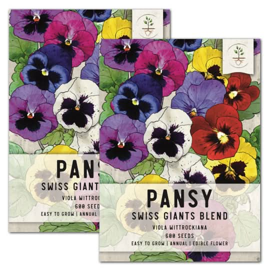 swiss giants pansy seeds for planting