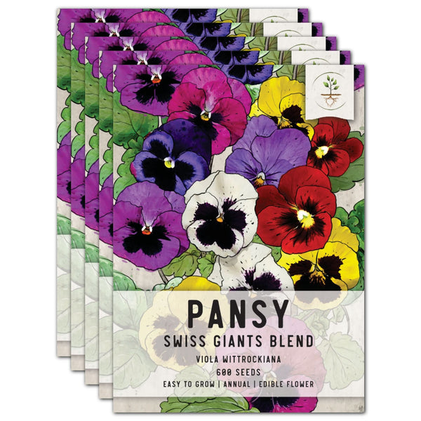 Pansy Seeds For Planting, Swiss Giants Mixture (Viola wittrockiana)