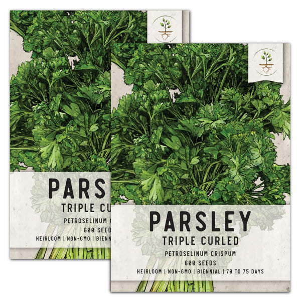 Triple Curled Parsley Seeds For Planting (Petroselinum crispum)