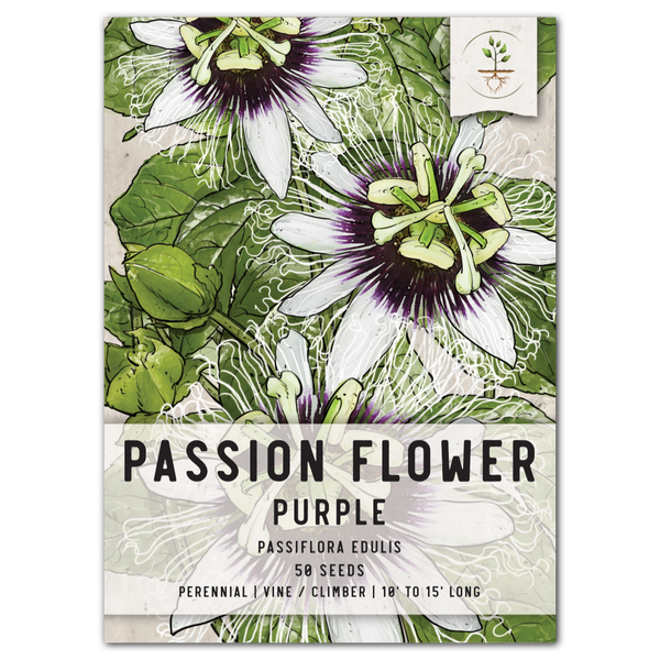 passionfruit seeds planting Purple Passion Fruit Flower Seeds For Planting (Passiflora edulis) – Seed Needs LLC