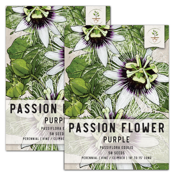 Purple Passion Flower Seeds For Planting (Passiflora edulis)
