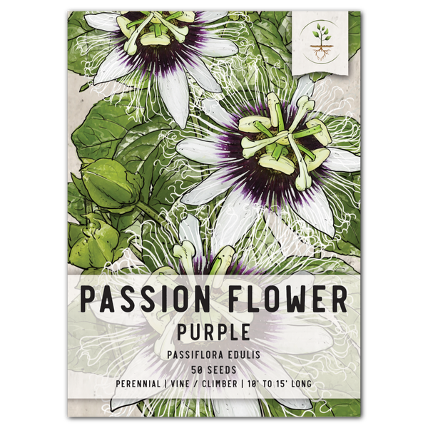 Purple Passion Flower Seeds For Planting (Passiflora edulis)