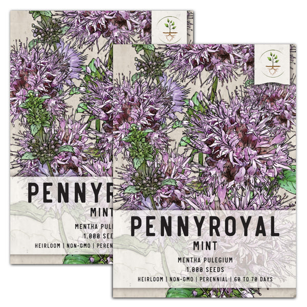 Pennyroyal Mint Seeds For Planting (Mentha pulegium)