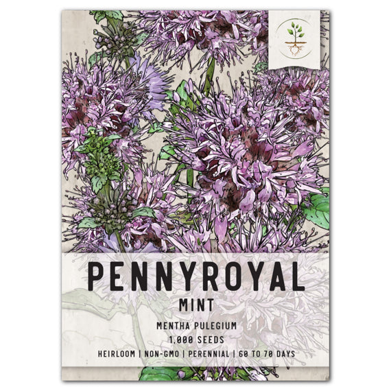 Pennyroyal Mint Seeds For Planting (Mentha pulegium)