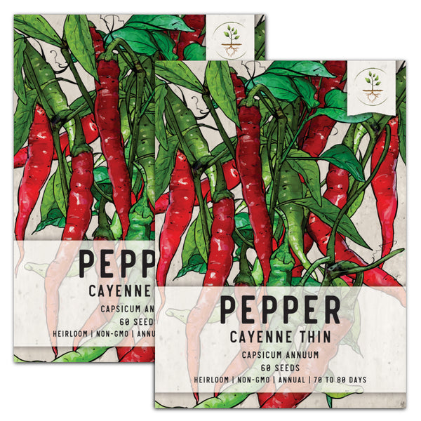 Thin Cayenne Hot Pepper Seeds For Planting (Capsicum annuum)