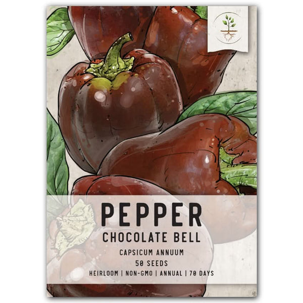 Chocolate Bell Pepper Seeds For Planting (Capsicum annuum)