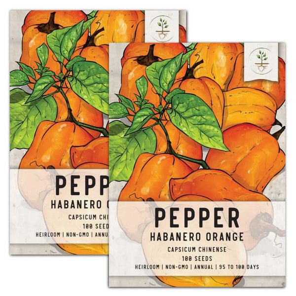 orange habanero pepper seeds for planting