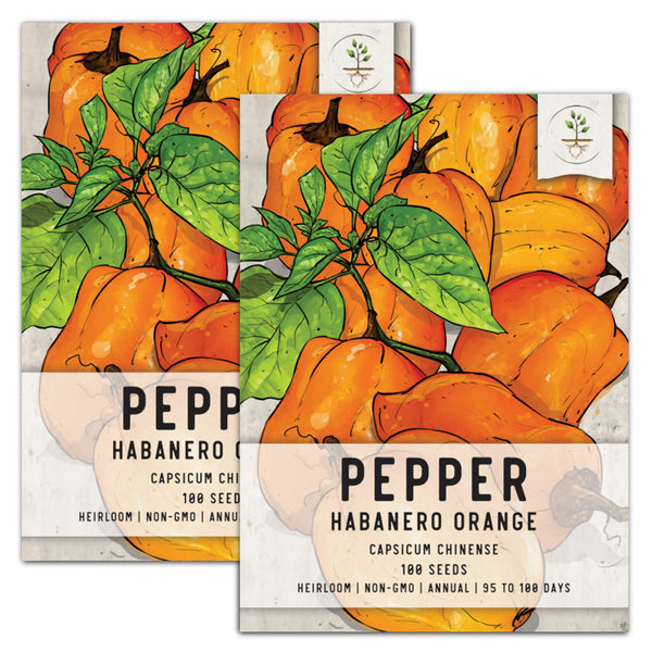 Orange Habanero Pepper Seeds For Planting (Capsicum chinense)