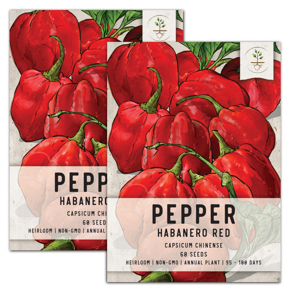 Red Habanero Pepper Seeds For Planting (Capsicum chinense)