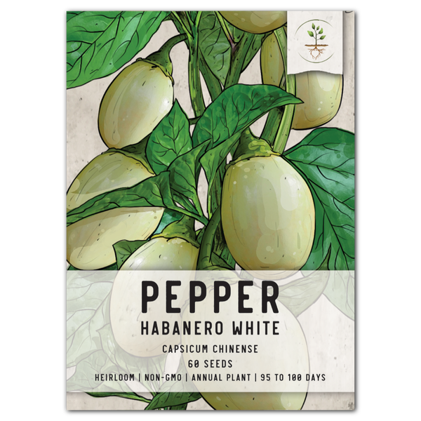 White Habanero Pepper Seeds For Planting (Capsicum chinense)